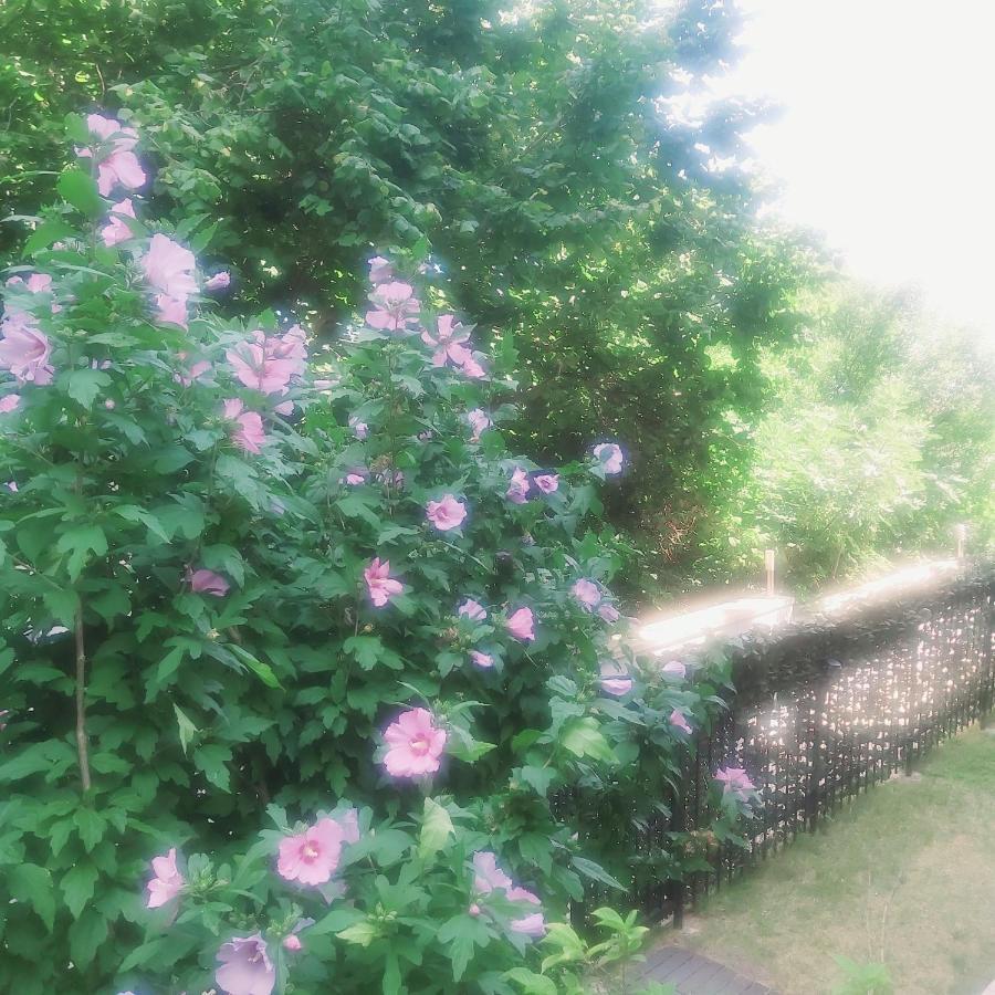 Saint Nicholas Varna Lovely 2 Bedroom Apartment With Sunny Garden Exterior foto